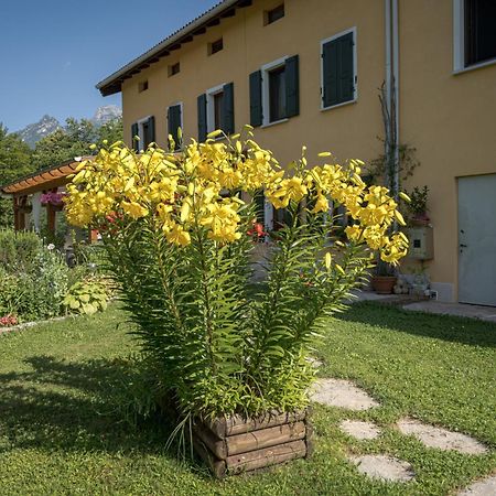 Casa Edith Libano Exterior photo